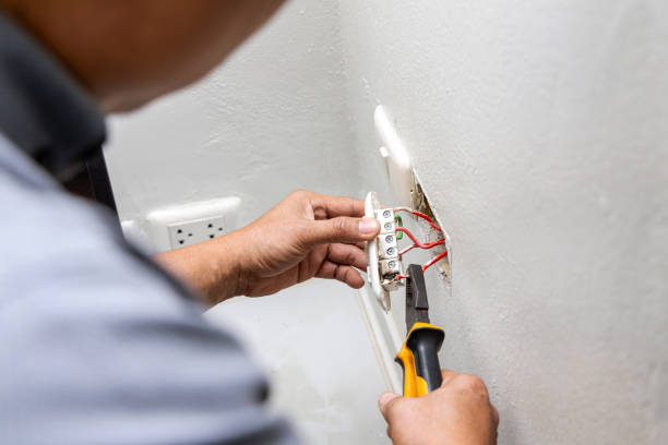 Best Generator Installation Services  in Williamson, WV